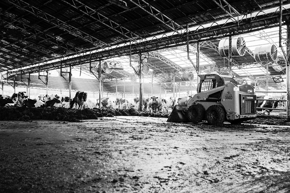 Skid Loader Field Action 1